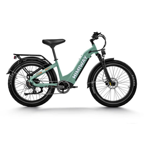 Himiway D5 ST(Zebra ST) 26" Fat Tire All-terrain Electric Bike 750W Motor 48V 20Ah Battery