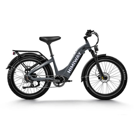 Himiway D5 ST(Zebra ST) 26" Fat Tire All-terrain Electric Bike 750W Motor 48V 20Ah Battery