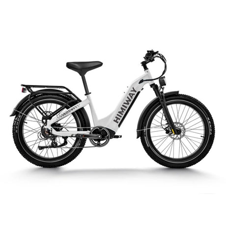 Himiway D5 ST(Zebra ST) 26" Fat Tire All-terrain Electric Bike 750W Motor 48V 20Ah Battery