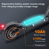 HONEY WHALE E9 Max 10" Foldable Electric Scooter 500W Motor 36V 10Ah Battery (ABE)