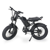 IDPOO IM-J1 20" Fat Tires Electric Bike 500W Brushless Motor 48V 15Ah Battery