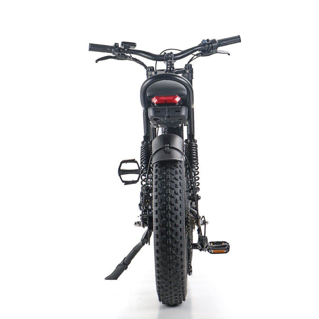 IDPOO IM-J1 20" Fat Tires Electric Bike 500W Brushless Motor 48V 15Ah Battery