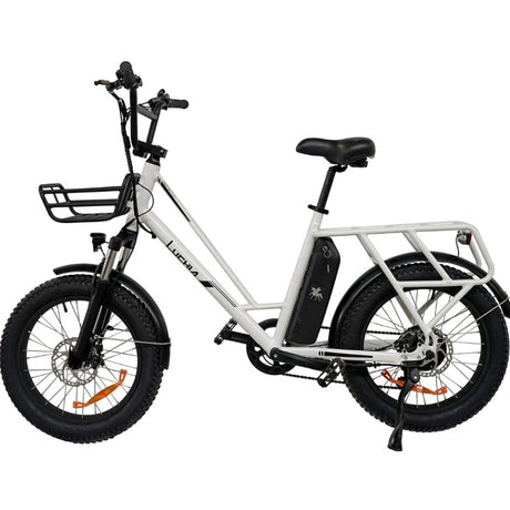 LUCHIA Tauro 20" Fat Tire Electric Utility Bike 250W Motor 36V 10Ah Battery