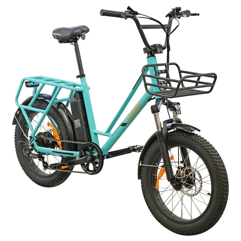 LUCHIA Tauro 20" Fat Tire Electric Utility Bike 250W Motor 36V 10Ah Battery