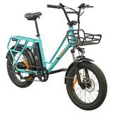 LUCHIA Tauro 20" Fat Tire Electric Utility Bike 250W Motor 36V 10Ah Battery