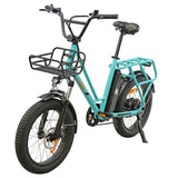 LUCHIA Tauro 20" Fat Tire Electric Utility Bike 250W Motor 36V 10Ah Battery