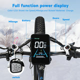 poleejiek ebike display full function power, color-lcd shows the speed, mileage and stateof batteries's charge.