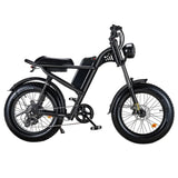 Riding Times 20" Fat Tires All-Terrain Electric Bike 500W Motor 48V 15Ah Battery