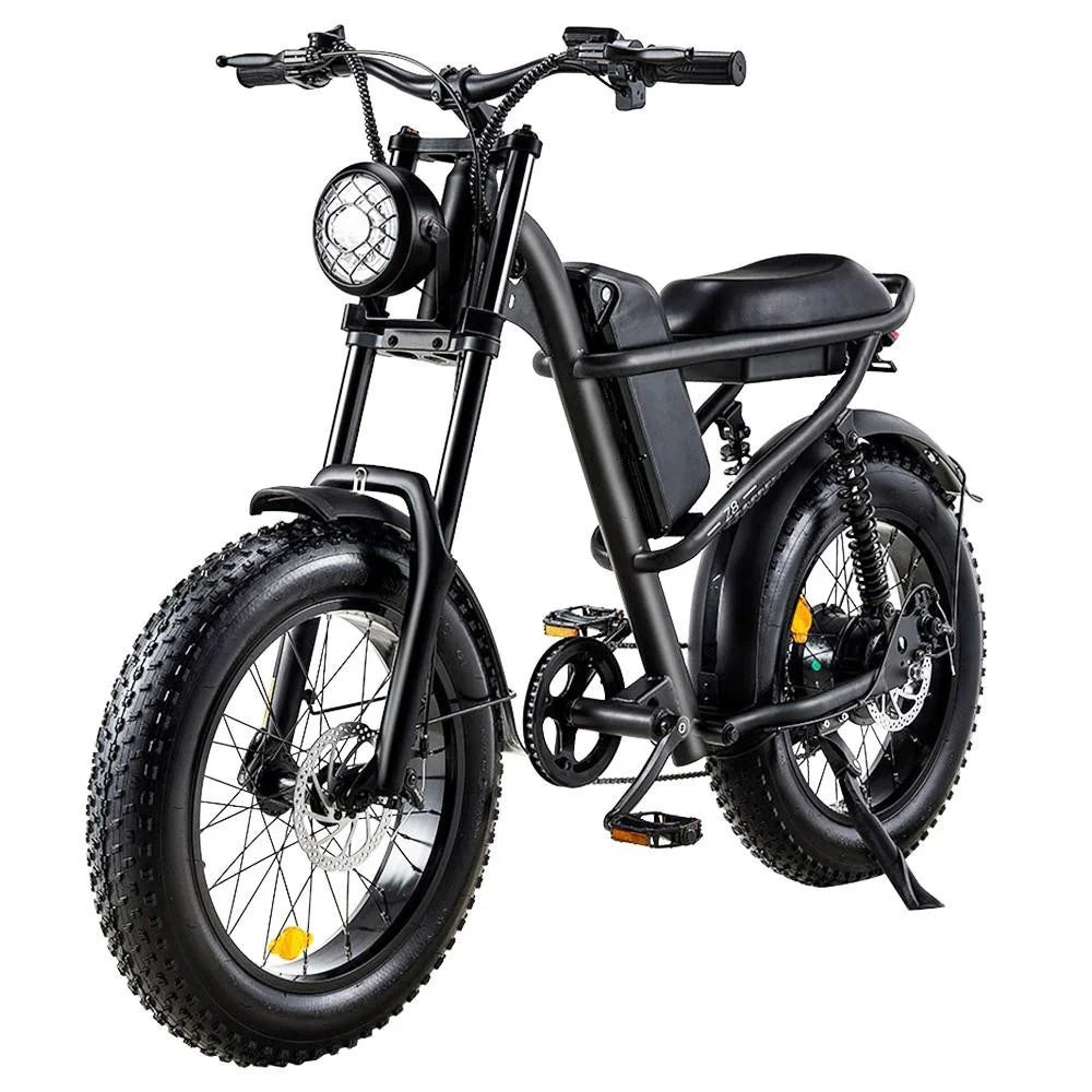 Riding Times 20" Fat Tires All-Terrain Electric Bike 500W Motor 48V 15Ah Battery