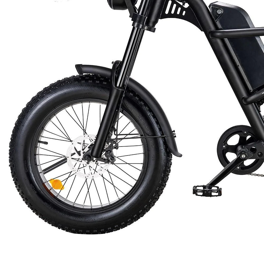 Riding Times 20" Fat Tires All-Terrain Electric Bike 500W Motor 48V 15Ah Battery