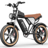 RIDSTAR Q20 20" Fat Tires Electric Bikes 1000W Motor 48V 20Ah Battery