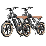 RIDSTAR Q20 Electric Dirt Bikes Combo