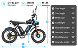 Ridstar Q20 Pro gros pneus vélo électrique 2*1000W moteur 52V 20Ah double batterie