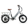 Totem Hauler 20" Fat Tire Electric Utility Bike 750W Geared Hub Motor 48V 15Ah Battery