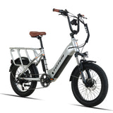 Totem Hauler Fat Tire Electric Utility Bike 750 W Getriebenabenmotor 48 V 15 Ah Batterie