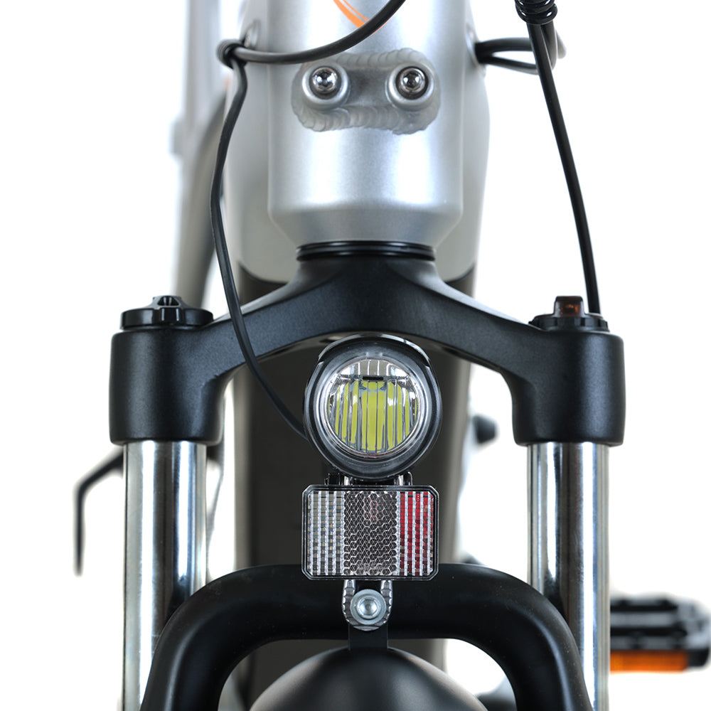 Totem Hauler Fat Tire Bici elettrica Utilitaria Motore con mozzo con ingranaggio 750W Batteria 48V 15Ah