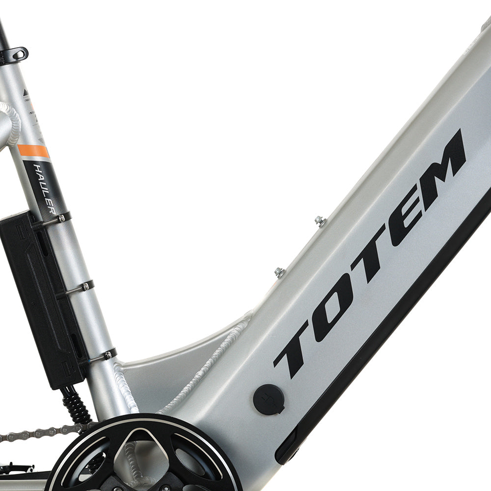 Totem Hauler Fat Tire Bici elettrica Utilitaria Motore con mozzo con ingranaggio 750W Batteria 48V 15Ah