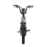 Totem Hauler Fat Tire Electric Utility Bike 750 W Getriebenabenmotor 48 V 15 Ah Batterie