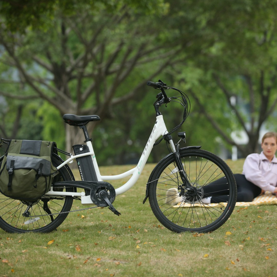 Batterie électrique du moteur 36V 10.4Ah de moyeu arrière du vélo 350W de banlieue d'horizon de Totem