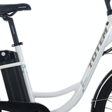 Batterie électrique du moteur 36V 10.4Ah de moyeu arrière du vélo 350W de banlieue d'horizon de Totem