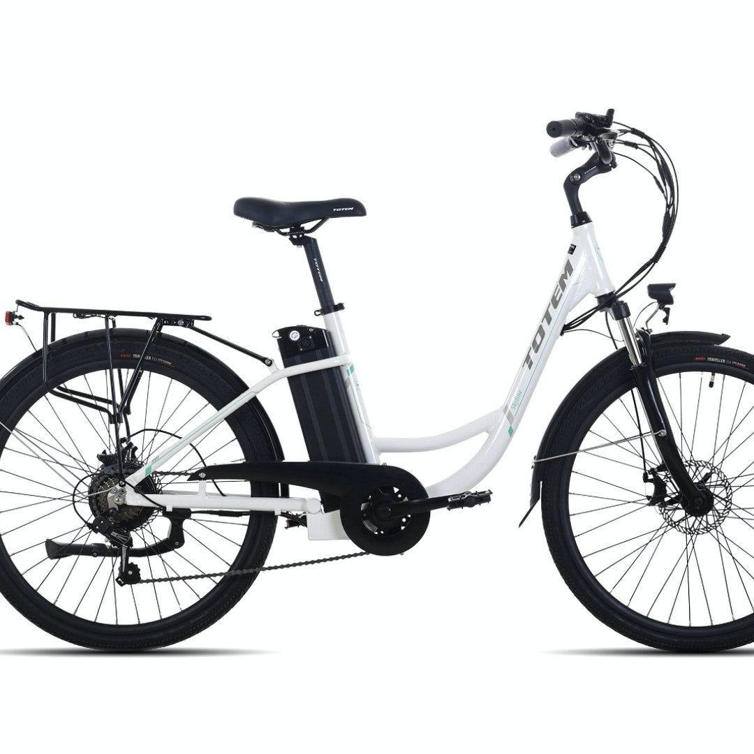 Batterie électrique du moteur 36V 10.4Ah de moyeu arrière du vélo 350W de banlieue d'horizon de Totem